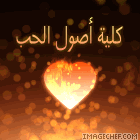 ������ ������� ���� ���� ����