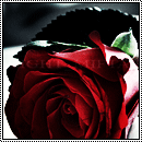 ������ ������� � ���� ������