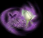 ������ ������� ����� ������