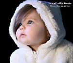 ������ ������� ����� �������