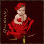 ������ ������� �����