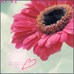 ������ ������� �����������