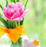 ������ ������� ��� �������