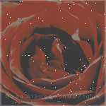 ������ ������� �����..!