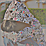 ������ ������� ���� ����